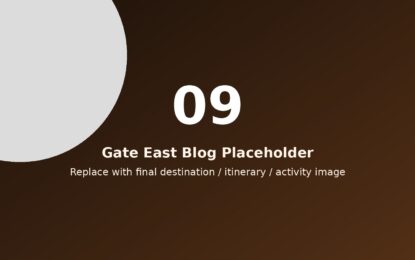 دليل البحر الأحمر: أفضل المزارات والرحلات وأفكار البرامج