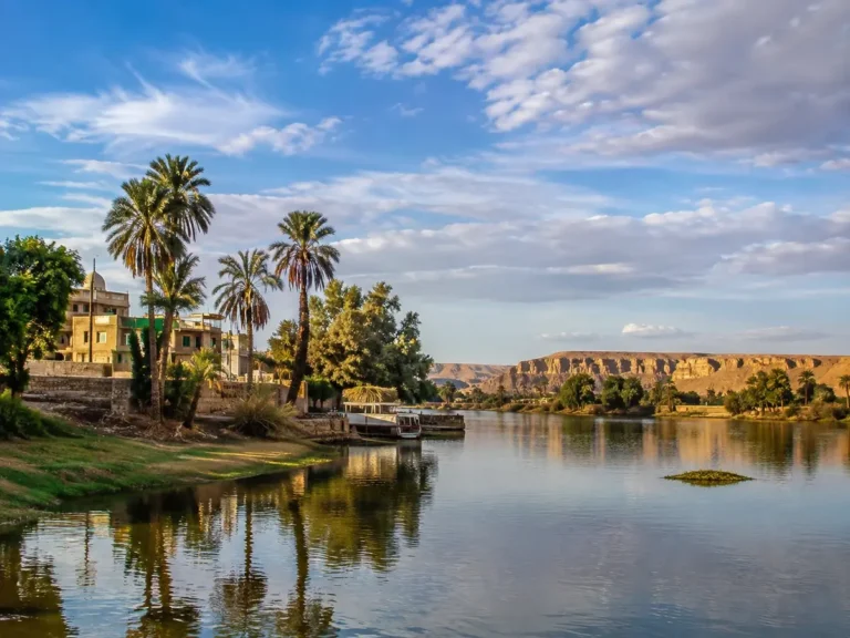 نخيل ومسطح مائي في طبيعة الفيوم في مصر
