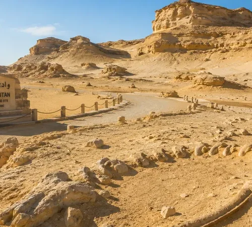 Wüstenlandschaft und Walfossilien im Wadi El Hitan in Fayoum