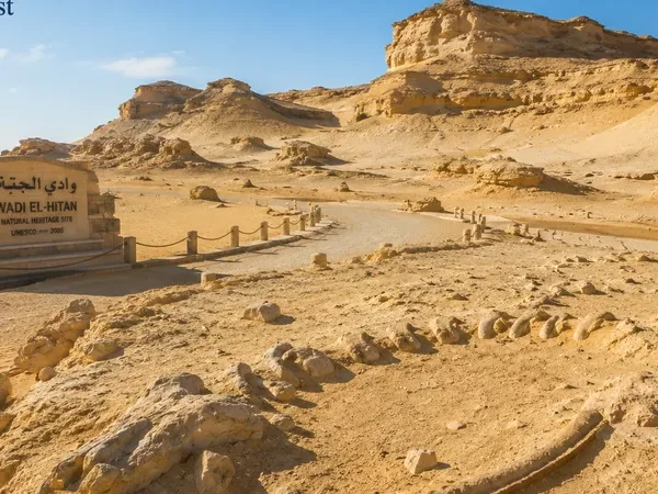 Wüstenlandschaft und Walfossilien im Wadi El Hitan in Fayoum